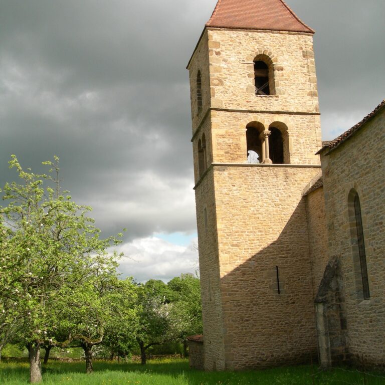 8-JALOGNY